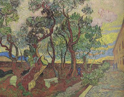 Vincent Van Gogh The Garden of Saint-Paul Hospital (nn04) China oil painting art